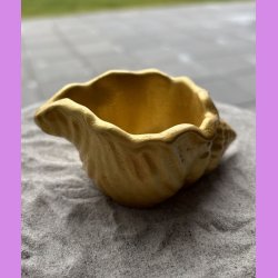 Konkylie buttet guld