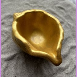 Konkylie buttet guld