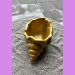 Konkylie buttet guld