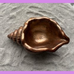 Konkylie buttet kobber