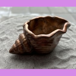 Konkylie buttet kobber