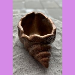 Konkylie buttet kobber