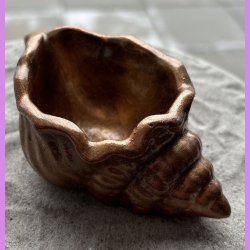 Konkylie buttet kobber