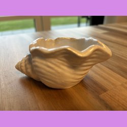 Konkylie Buttet Pearl farvet