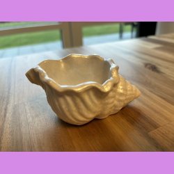 Konkylie Buttet Pearl farvet