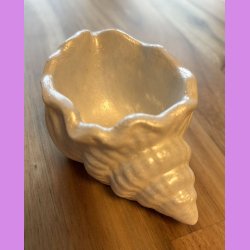 Konkylie Buttet Pearl farvet