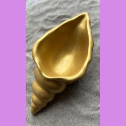Konkylie lang guld