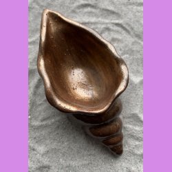 Konkylie lang kobber