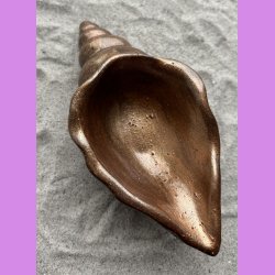 Konkylie lang kobber