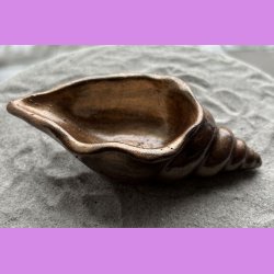 Konkylie lang kobber