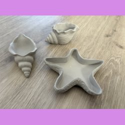 konkylie buttede i r beton