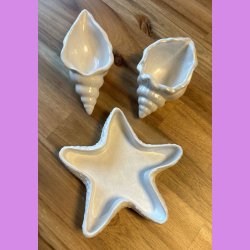 konkylie lang Pearl farvet