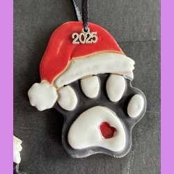 Hundeporte med nissehue  