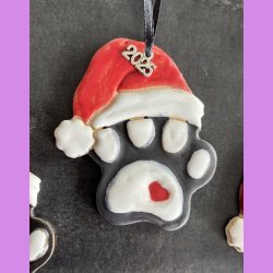 Hundeporte med nissehue  