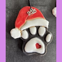 Hundeporte med nissehue  