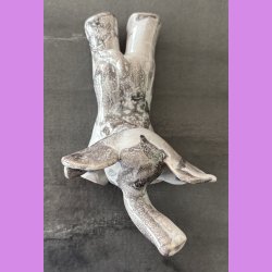 Elefant liggende p maven - Lysegr 