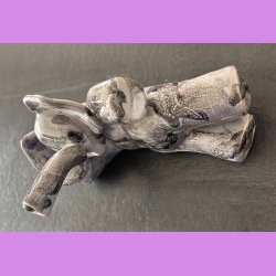 Elefant liggende p siden - Lysegr 