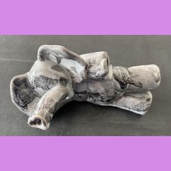 Elefant liggende p siden - Lysegr 