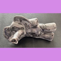 Elefant liggende p siden - Lysegr 