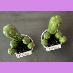 Fucktus 1 farvet - Hvid potter - sorte sten - lille skilt