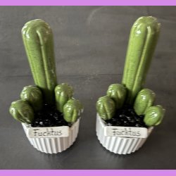 Fucktus 1 farvet - Hvid potter - sorte sten - lille skilt