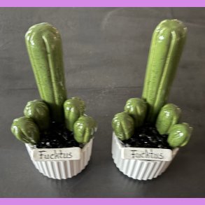 Fucktus 1 farvet - Hvid potter - sorte sten - lille skilt