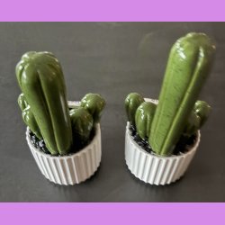 Fucktus 1 farvet - Hvid potter - sorte sten - lille skilt