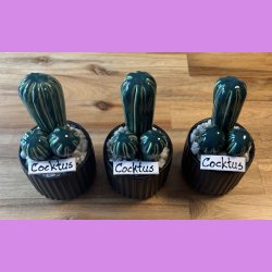 Cocktus 2 farvet- sort potte