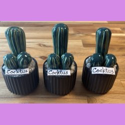 Cocktus 2 farvet- sort potte