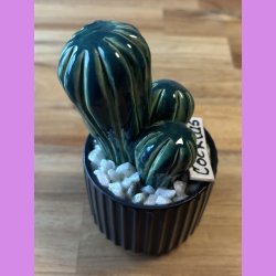 Cocktus 2 farvet- sort potte