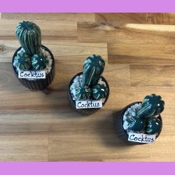 Cocktus 2 farvet- sort potte