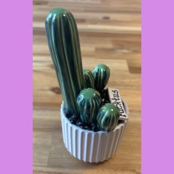 Fucktus 2-farvet - hvid potte