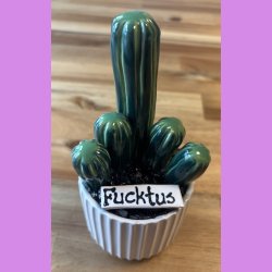 Fucktus 2-farvet - hvid potte