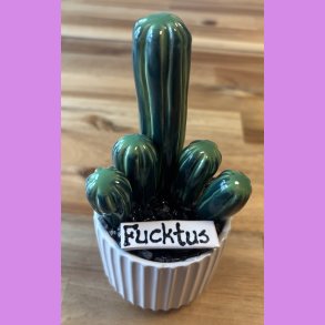 Fucktus 2-farvet - hvid potte