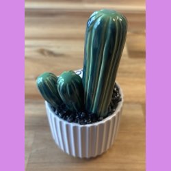 Fucktus 2-farvet - hvid potte