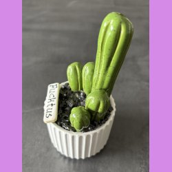 Fucktus 1 farvet - Hvid potter - sorte sten - lille skilt