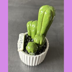 Fucktus 1 farvet - Hvid potter - sorte sten - lille skilt