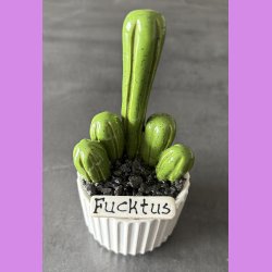 Fucktus 1 farvet - Hvid potter - sorte sten - lille skilt