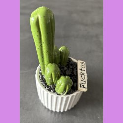 Fucktus 1 farvet - Hvid potter - sorte sten - lille skilt