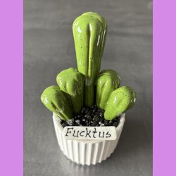 Fucktus 1 farvet - Hvid potter - sorte sten - lille skilt