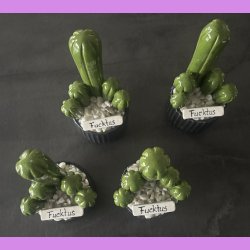 Fucktus 1 farvet - sort potter - hvide sten - lille skilt