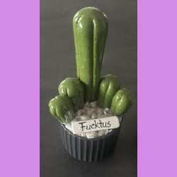 Fucktus 1 farvet - sort potter - hvide sten - lille skilt