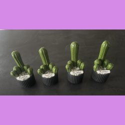 Fucktus 1 farvet - sort potter - hvide sten - lille skilt