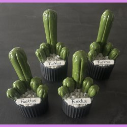 Fucktus 1 farvet - sort potter - hvide sten - lille skilt