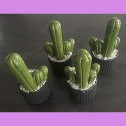 Fucktus 1 farvet - sort potter - hvide sten - lille skilt