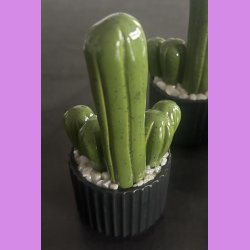 Fucktus 1 farvet - sort potter - hvide sten - lille skilt