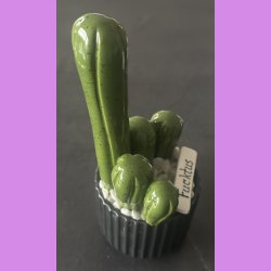 Fucktus 1 farvet - sort potter - hvide sten - lille skilt