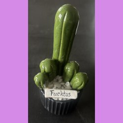 Fucktus 1 farvet - sort potter - hvide sten - lille skilt