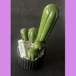 Fucktus 1 farvet - sort potter - hvide sten - lille skilt