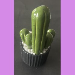 Fucktus 1 farvet - sort potter - hvide sten - lille skilt